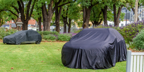 beste foto kenisselect (1)